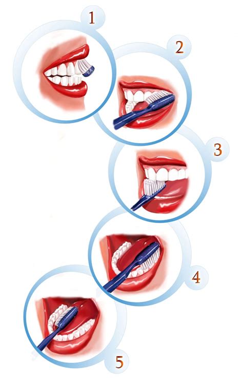 Different Methods And Steps Proper Tooth Brushing Techniques