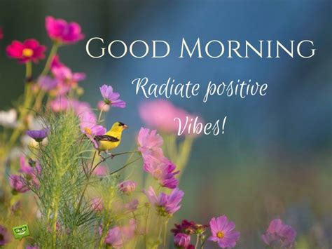 Substitute your negative thoughts with positive ones so you can enjoy positive outcomes. Good Morning Radiate Positive Vibes Pictures, Photos, and ...
