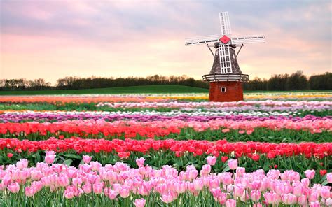 Five Reasons To Visit The Netherlands Flightsite Blog