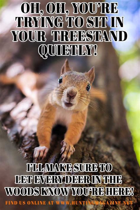 Squirrel Hunting Meme Funny Squirrel Meme Hunting Magazine