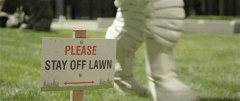 Stay Off Lawn GIFs Get The Best GIF On GIPHY