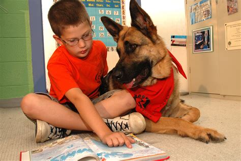 How to become an animal assisted therapist. Animal-assisted therapy program to hold meeting for ...