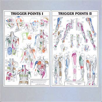 Trigger Points I And Ii Trigger Points Reflexology Foot Chart