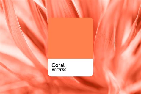 Coral Color Fashion Dresses