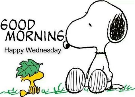 Snoopy Good Morning Happy Wednesday Pictures Photos And Images For
