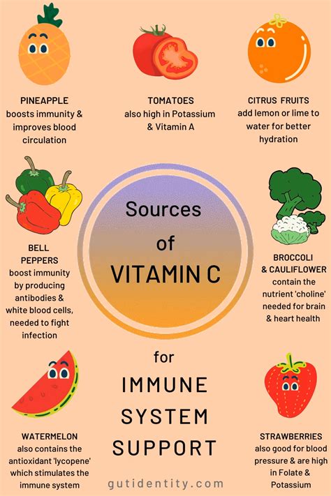 Vitamin C For Immune System Support Vitamin C Is An Essential Vitamin