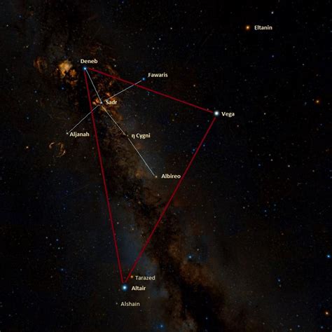 Deneb Star Distance From Earth The Earth Images Revimageorg
