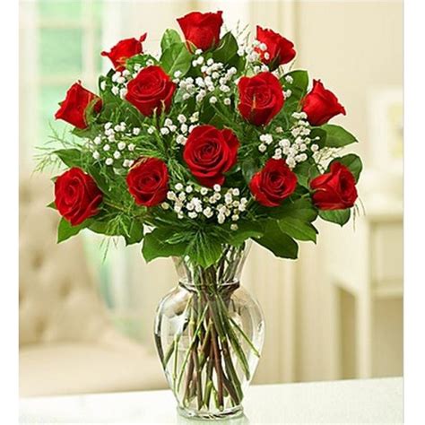 Dozen Long Stem Red Roses Jay City Florist The Flower Barn