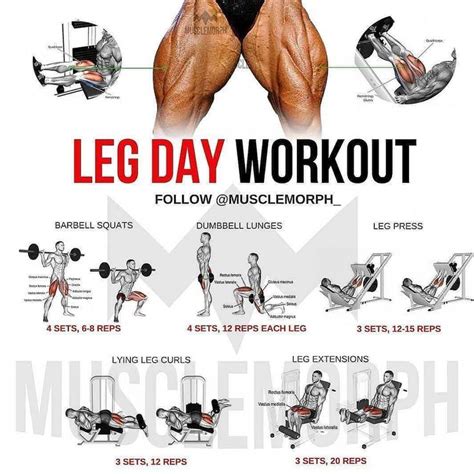 Image By Body Fit On Leg Workouts For Men Leg Workouts Gym Leg Day