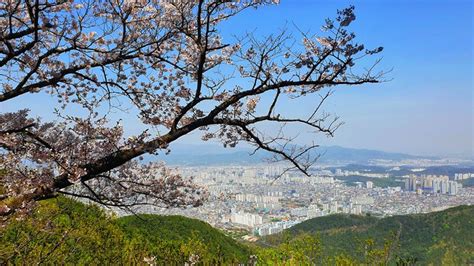 One Week In South Korea The Ultimate Itinerary