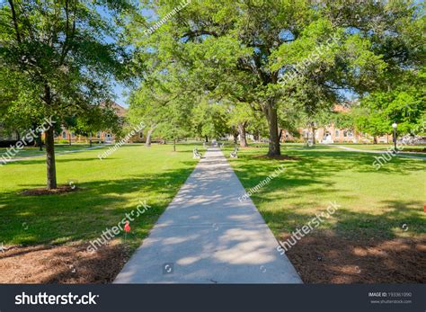 Typical American College Campus Stock Photo 193361090 Shutterstock