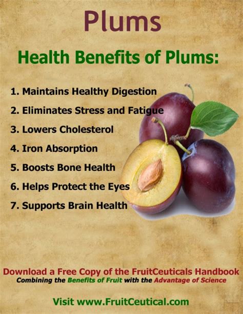 258956239 Health Benefits Of Plums