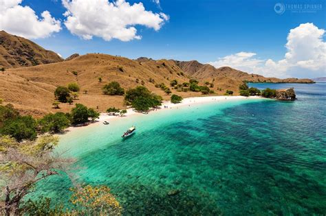 Pink beach is located on komodo island. Pink Beach - Pink Beach at Komodo Nationalpark, Indonesia ...