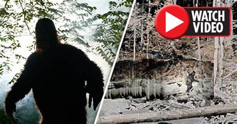 Bigfoot Mystery Cracked Wide Open After Digital Breakthrough With World