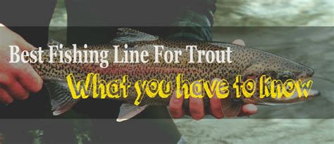 In this article, we will show you the top 6 best trout fishing lines, which help you a lot to make a purchase. The Best Fishing Line for Trout - What you have to know