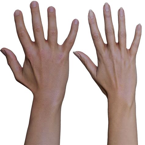 male hands vs female hands