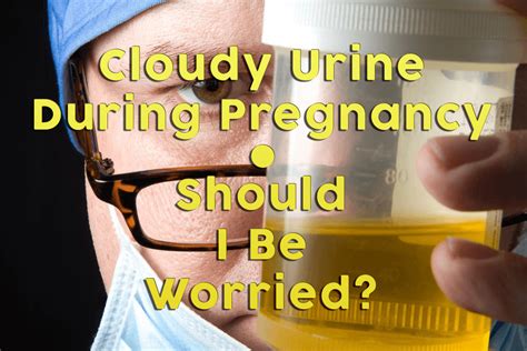Cloudy Urine During Pregnancy Should I Be Worried • Babydotdot