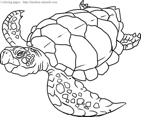 Black and white print for coloring book. Coloring pages of sea animals - timeless-miracle.com