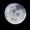 Full Moon Photographed From Apollo 11 Spacecraft | NASA