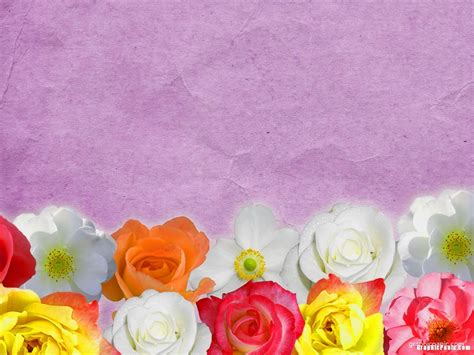 Colorful Flower Background PowerPoint Background Templates