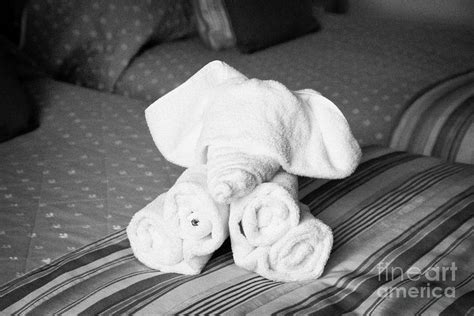 Hotel Towels Folded Into The Shape Of An Elephant On A Hotel Bed In The
