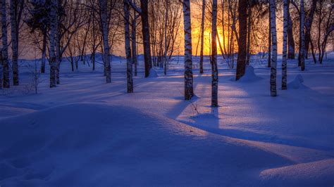 Winter Sunset Hd Wallpaper Background Image 1920x1080