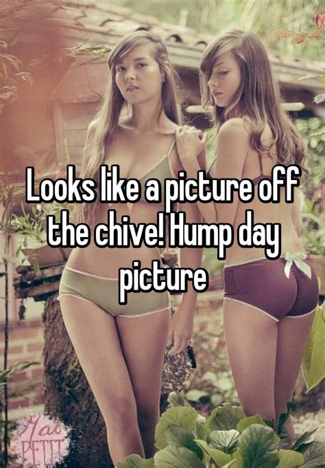 Looks Like A Picture Off The Chive Hump Day Picture