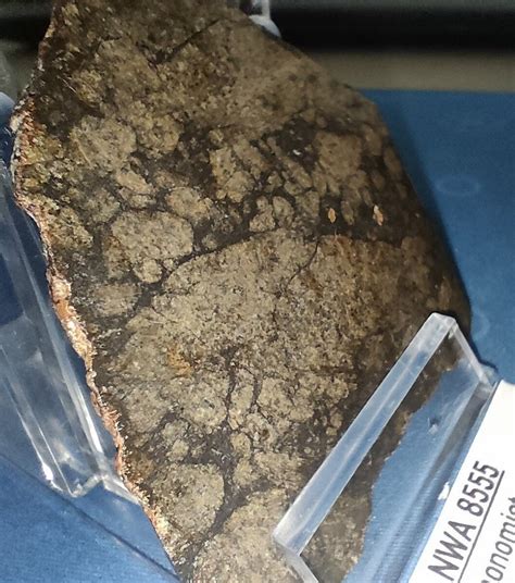 Meteorite Achondrite Nwa 8555 Classified Eucrite Monomict Polished