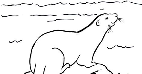 Otter Coloring Download Otter Coloring For Free 2019