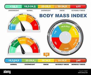 Bmi Chart Scale Vector Illustration Body Mass Index Meter Weight