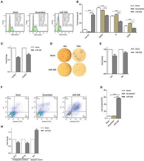 frontiers microrna 326 functions as a tumor suppressor in breast cancer by targeting erbb pi3k
