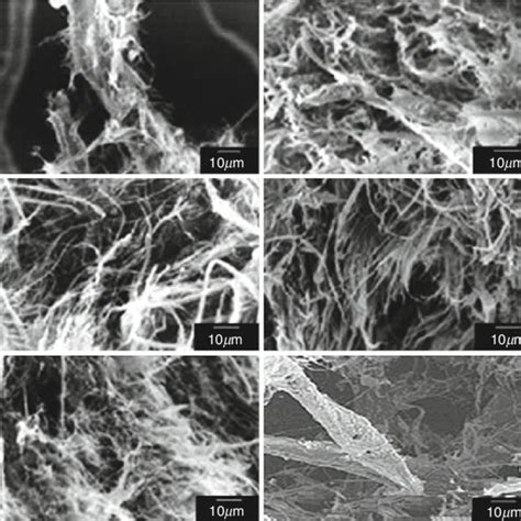 Pdf Cellulosic Nanocomposites From Natural Fibers For Medical