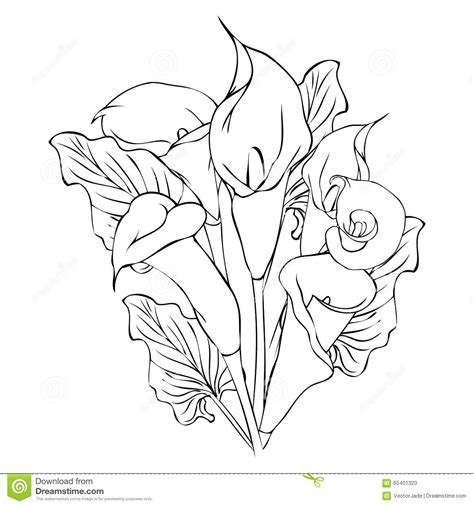 Draw petals with light lines. Water Lily Flower Drawing at GetDrawings | Free download