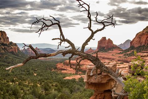 Sedona Grand Canyon Scenic Gallery First Class Charter Tours