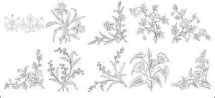 While many flowers grow naturally in forests, grasslands. Flower type of line drawing vector diagram-3 free vector ...