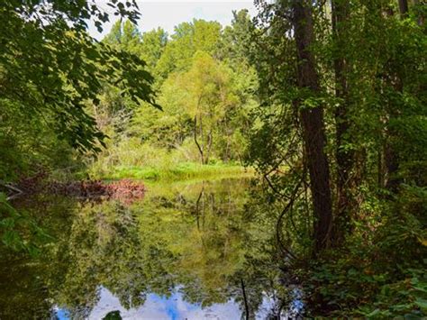 South Carolina Pond Land For Sale Landflip