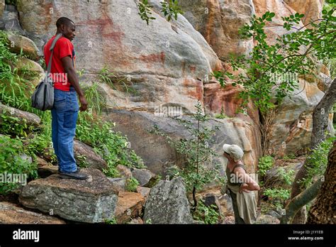 Tourist And Guide Looking On Rock Art Ancient San Paintings Tsodilo Hills Botswana Africa