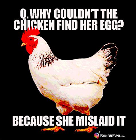 Chicken Jokes Hen Humor Poultry Puns