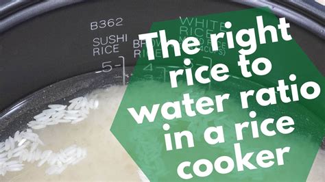 Rice To Water Ratio In A Rice Cooker White Jasmine Basmati