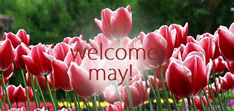Welcome May Images Floral Oppidan Library