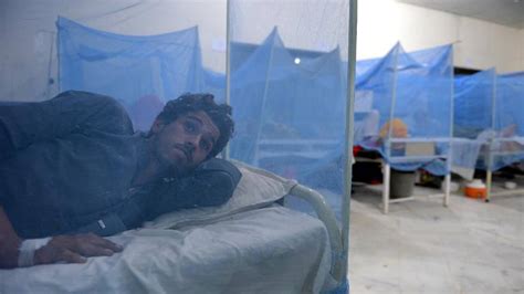 Dengue Outbreak Kills 23 In Pakistan Fox News