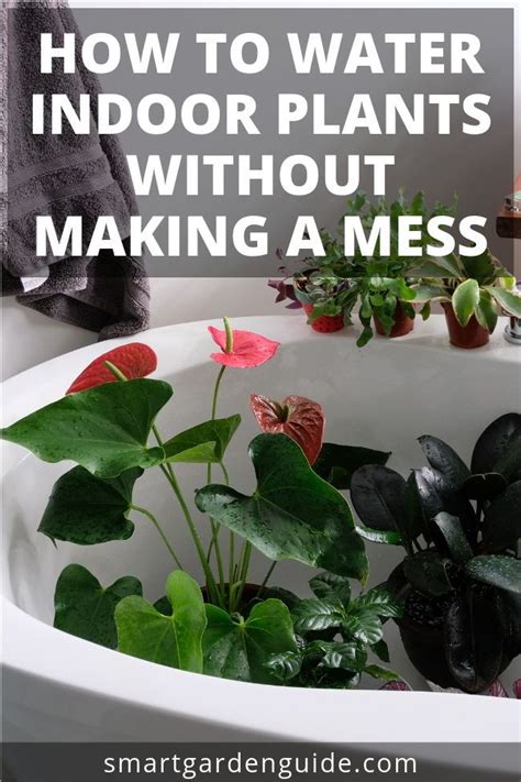 How To Water Indoor Plants Without Making A Mess Great Tips For