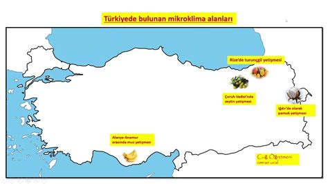 Türkiyede Bulunan Mikroklima Alanları KPSS YKS YouTube