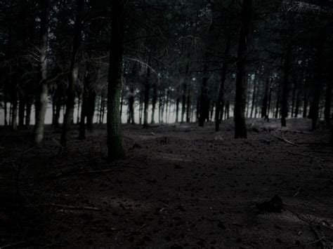 Dark Forest By Alexr13500 On Deviantart