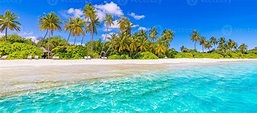 Panoramic Maldives island beach. Tropical landscape summer panorama ...
