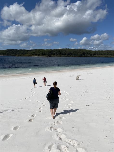 Best Of The Fraser Island Great Walk 3n4d Fraser Dingo 4wd