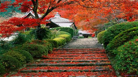 free download japan beauty garden staircase kyoto japan hd wallpaper wallpaper hd [1366x768] for