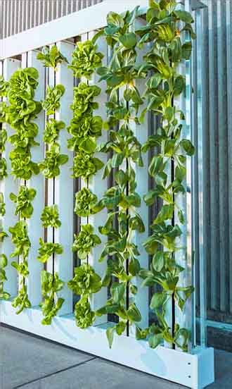 11 Vertical Hydroponics Systems And Designs For Super Efficiency Freaks
