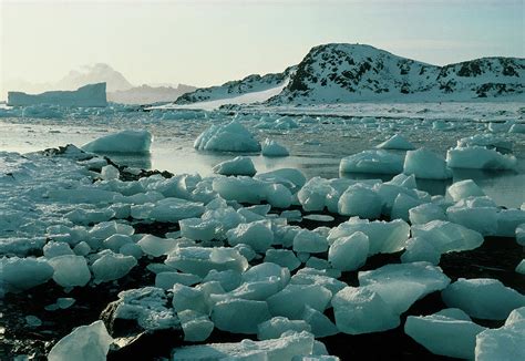 Ice Floes Around Antarctic Coast Photograph By Simon Fraserscience