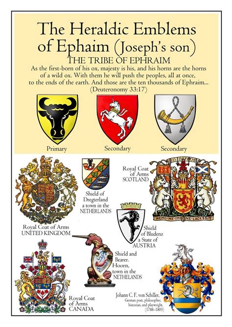 Heraldic Emblems Of The Tribe Of Ephraim Cultura Judaica 12 Tribes Of